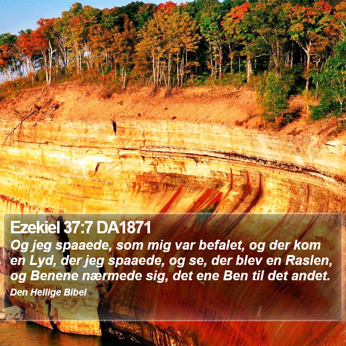Ezekiel 37:7 DA1871 Bible Study