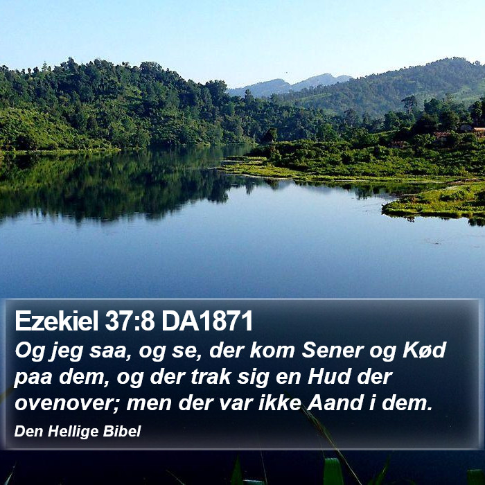 Ezekiel 37:8 DA1871 Bible Study