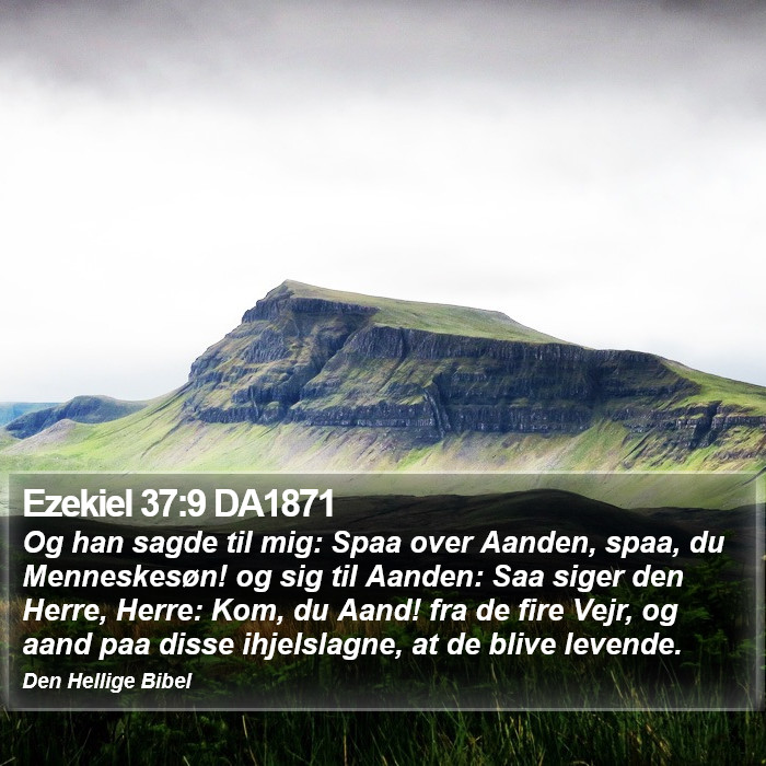 Ezekiel 37:9 DA1871 Bible Study