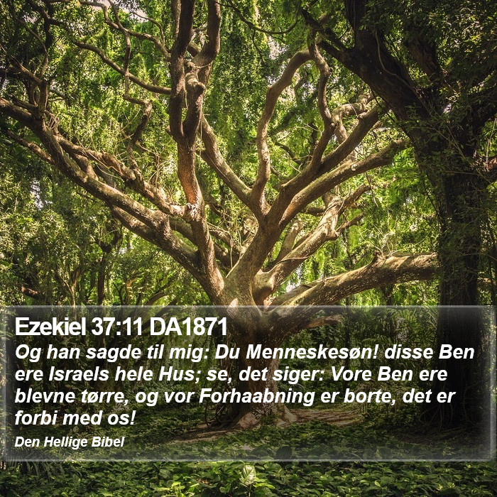 Ezekiel 37:11 DA1871 Bible Study