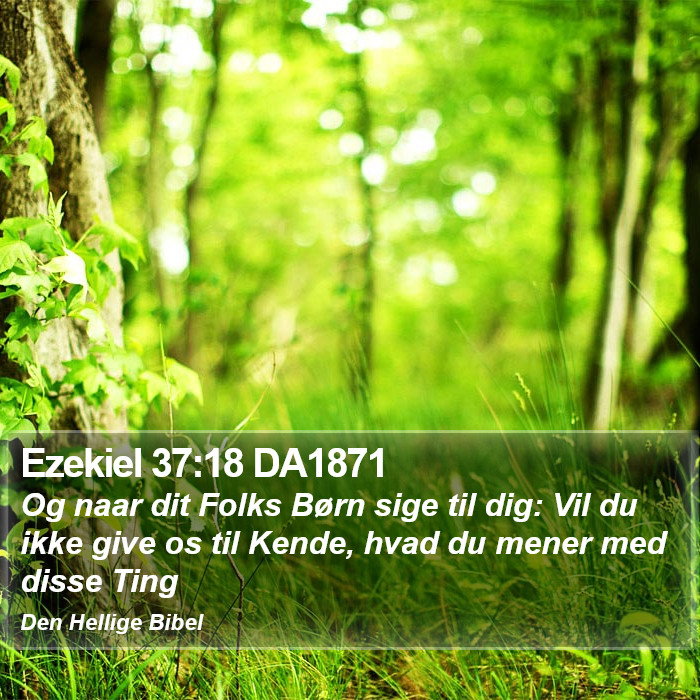 Ezekiel 37:18 DA1871 Bible Study