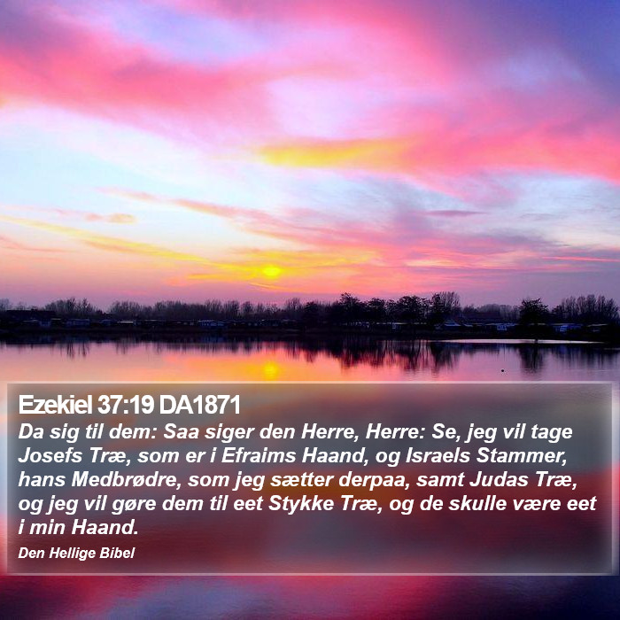 Ezekiel 37:19 DA1871 Bible Study