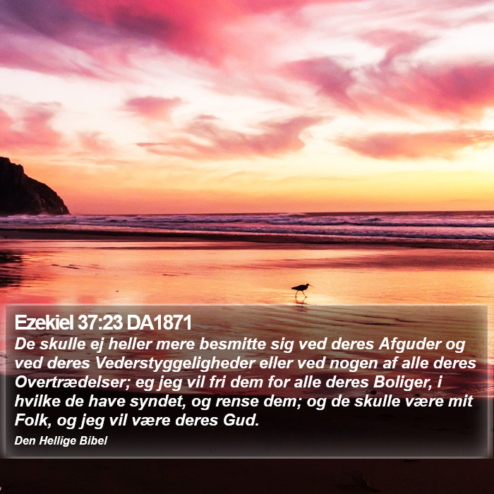 Ezekiel 37:23 DA1871 Bible Study