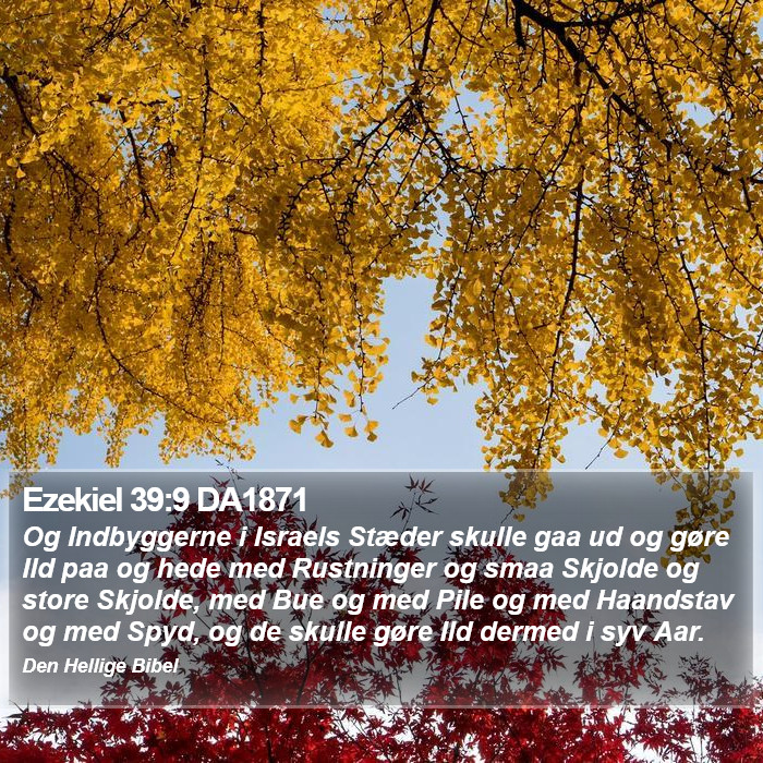 Ezekiel 39:9 DA1871 Bible Study