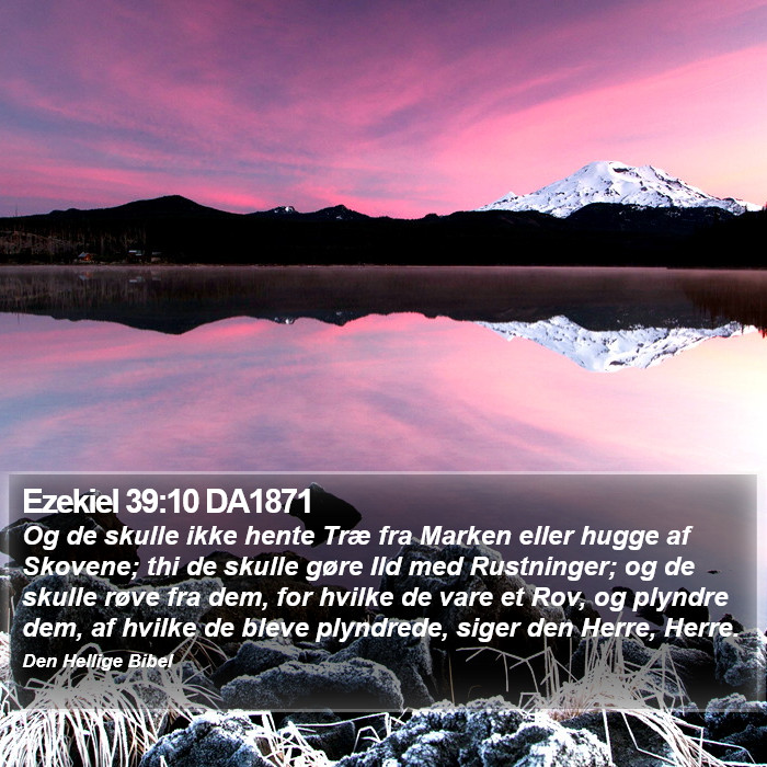 Ezekiel 39:10 DA1871 Bible Study
