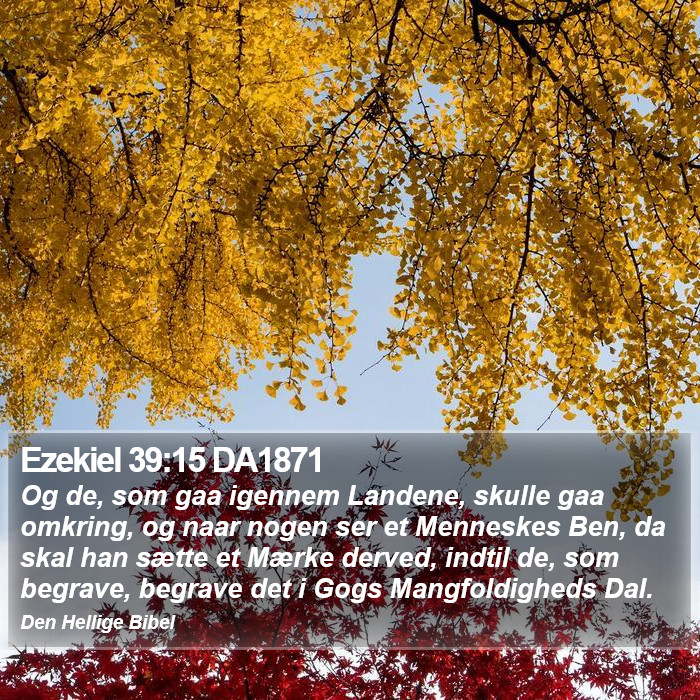 Ezekiel 39:15 DA1871 Bible Study