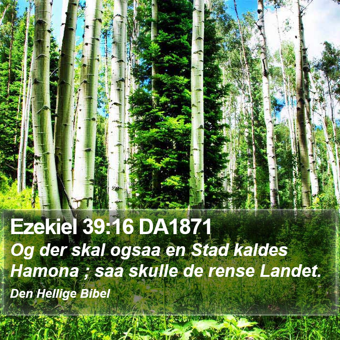 Ezekiel 39:16 DA1871 Bible Study