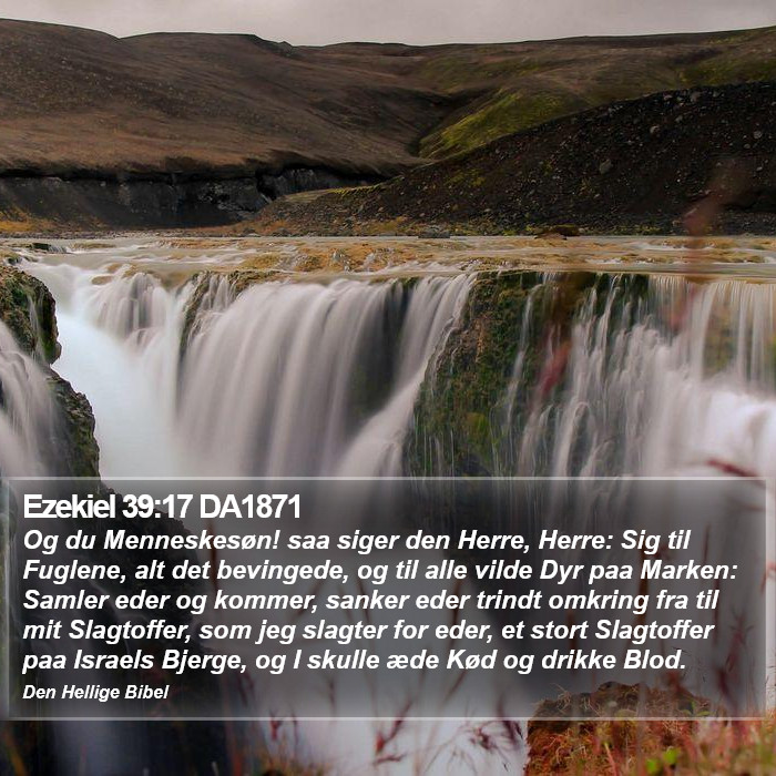 Ezekiel 39:17 DA1871 Bible Study
