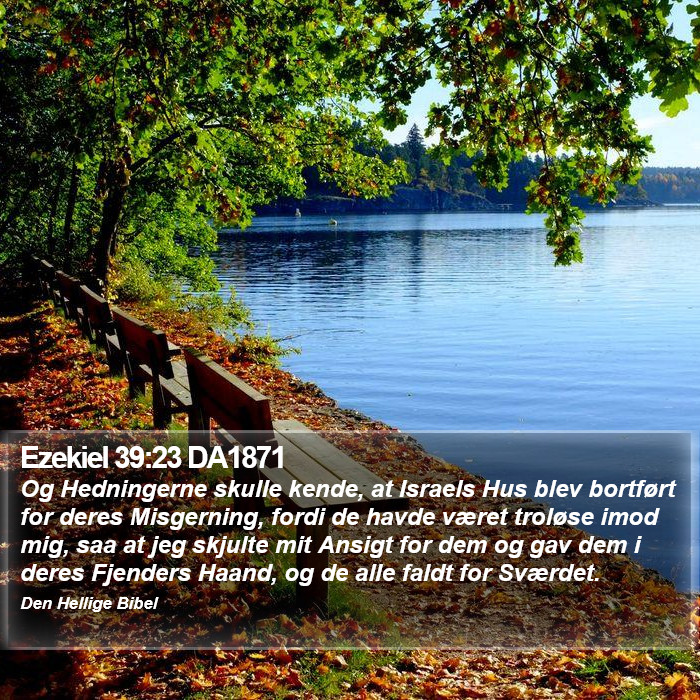 Ezekiel 39:23 DA1871 Bible Study