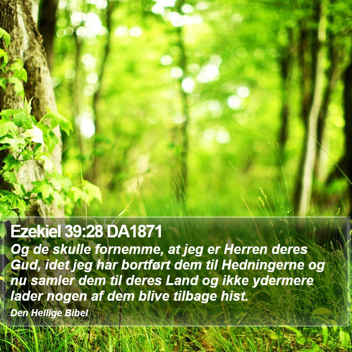 Ezekiel 39:28 DA1871 Bible Study