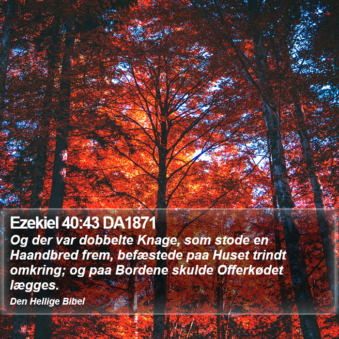 Ezekiel 40:43 DA1871 Bible Study