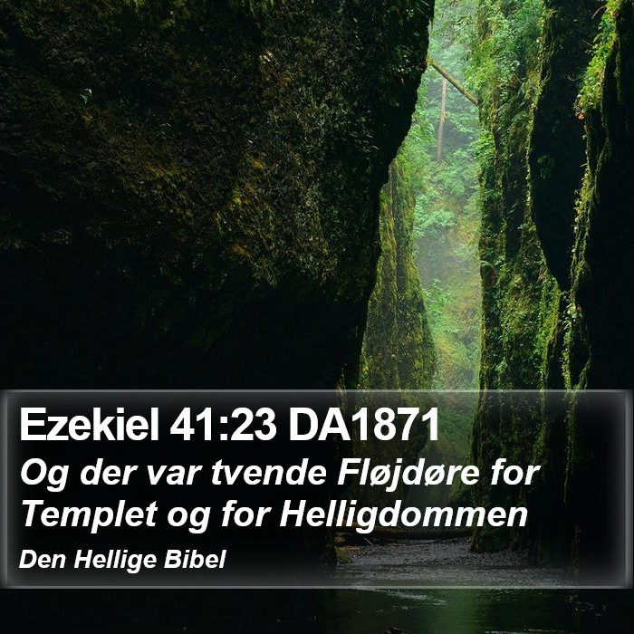 Ezekiel 41:23 DA1871 Bible Study