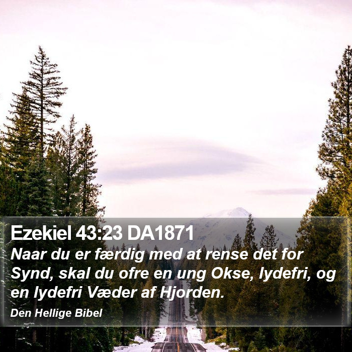 Ezekiel 43:23 DA1871 Bible Study