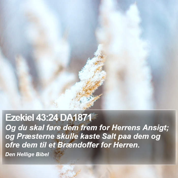 Ezekiel 43:24 DA1871 Bible Study