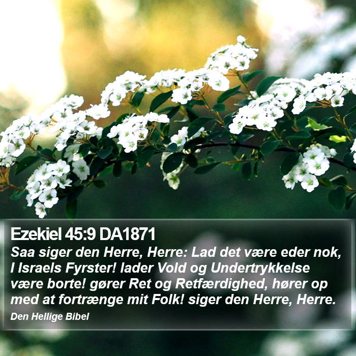 Ezekiel 45:9 DA1871 Bible Study