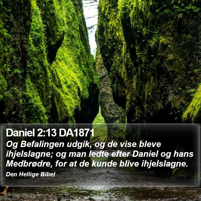 Daniel 2:13 DA1871 Bible Study