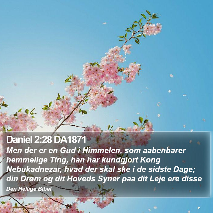 Daniel 2:28 DA1871 Bible Study