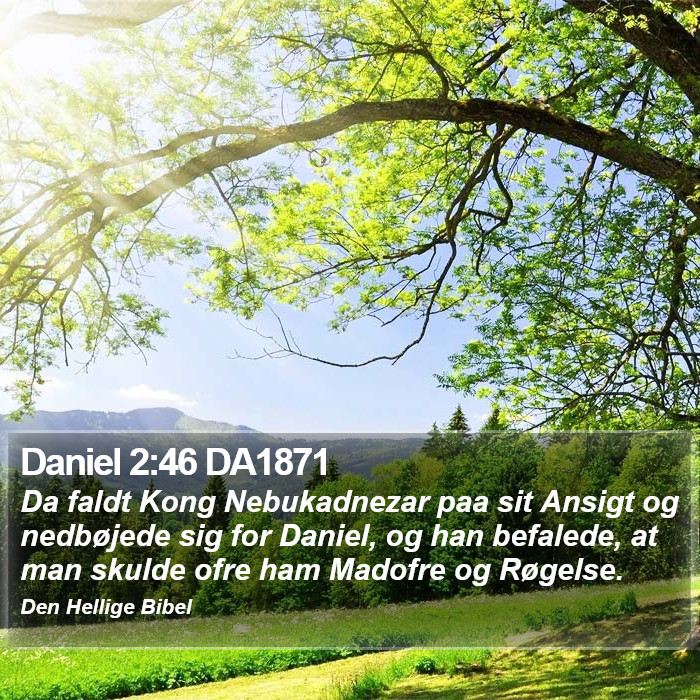 Daniel 2:46 DA1871 Bible Study
