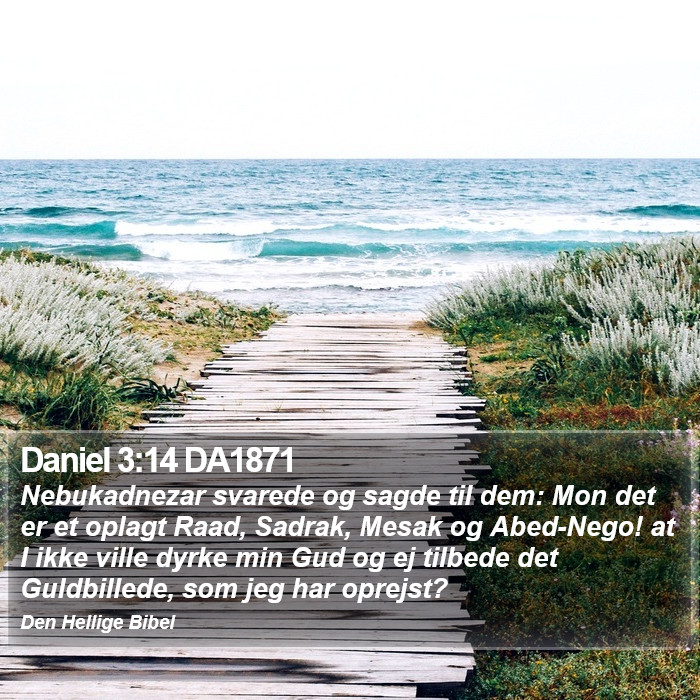 Daniel 3:14 DA1871 Bible Study