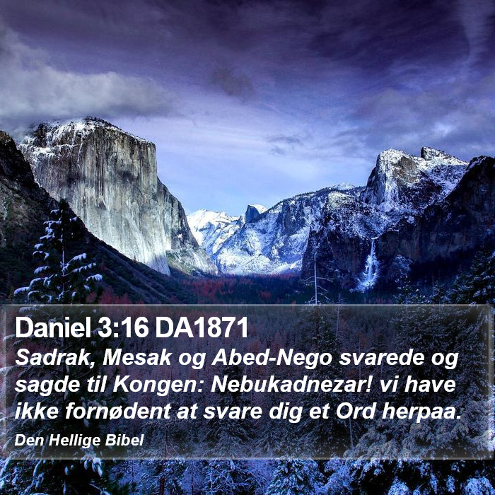 Daniel 3:16 DA1871 Bible Study