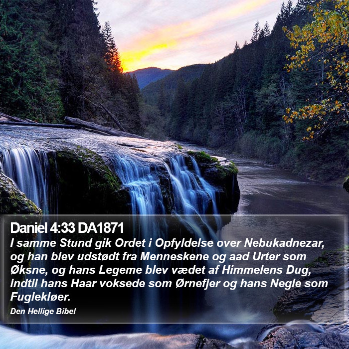 Daniel 4:33 DA1871 Bible Study