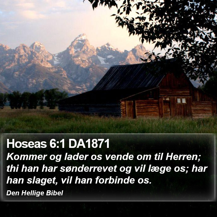 Hoseas 6:1 DA1871 Bible Study