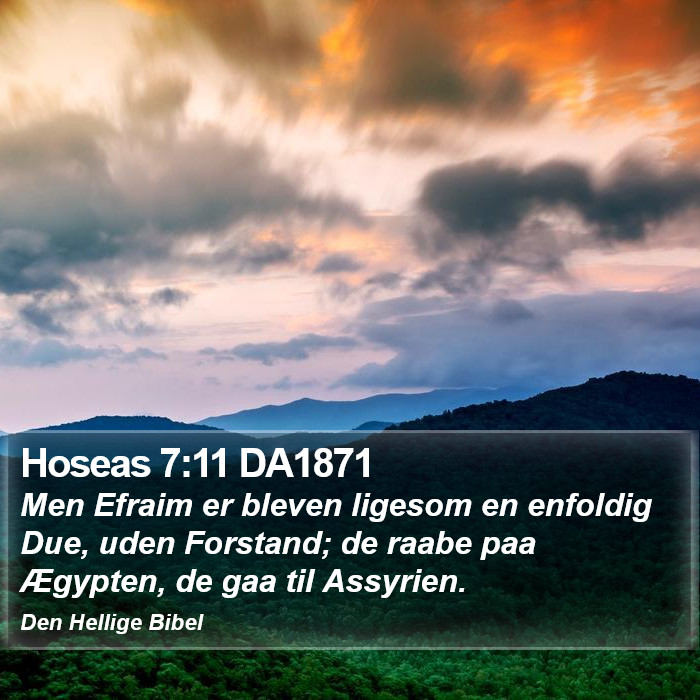 Hoseas 7:11 DA1871 Bible Study