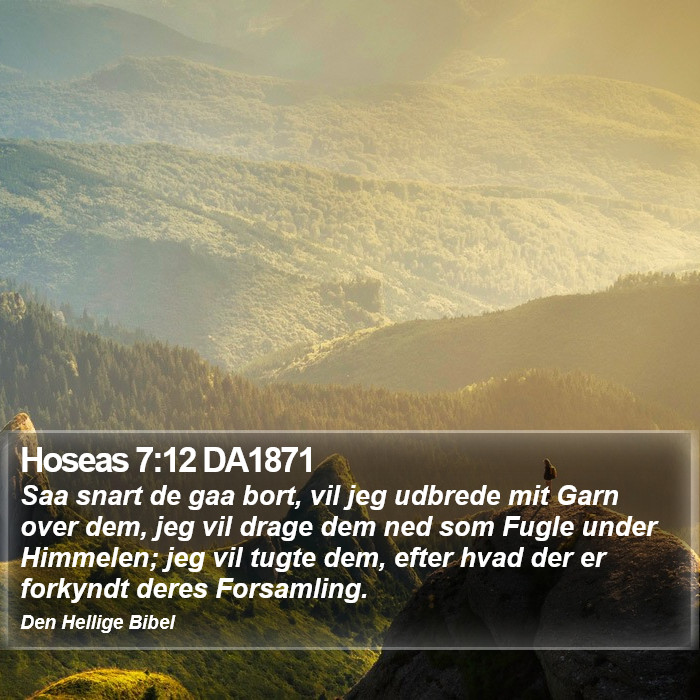 Hoseas 7:12 DA1871 Bible Study