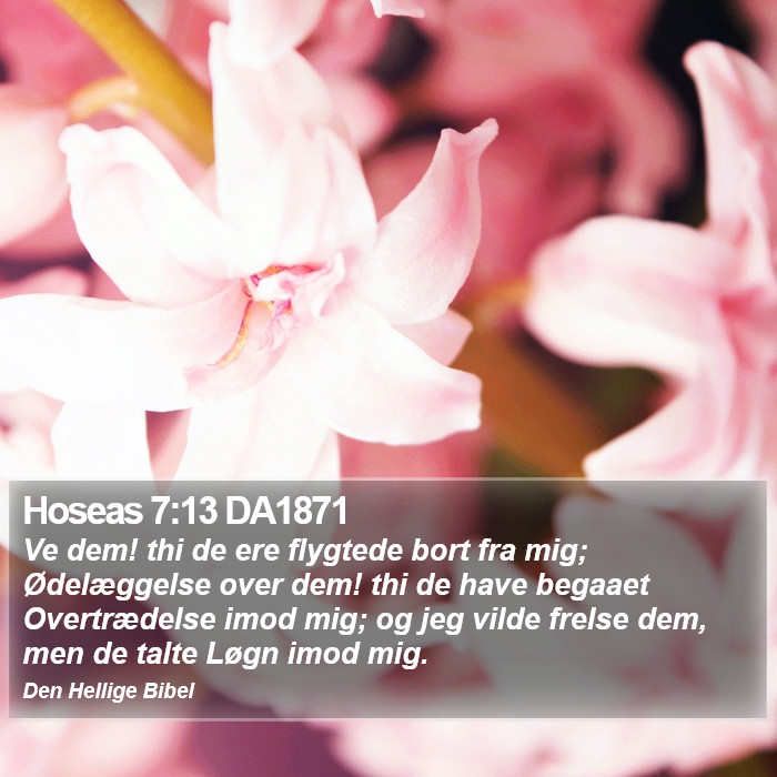 Hoseas 7:13 DA1871 Bible Study