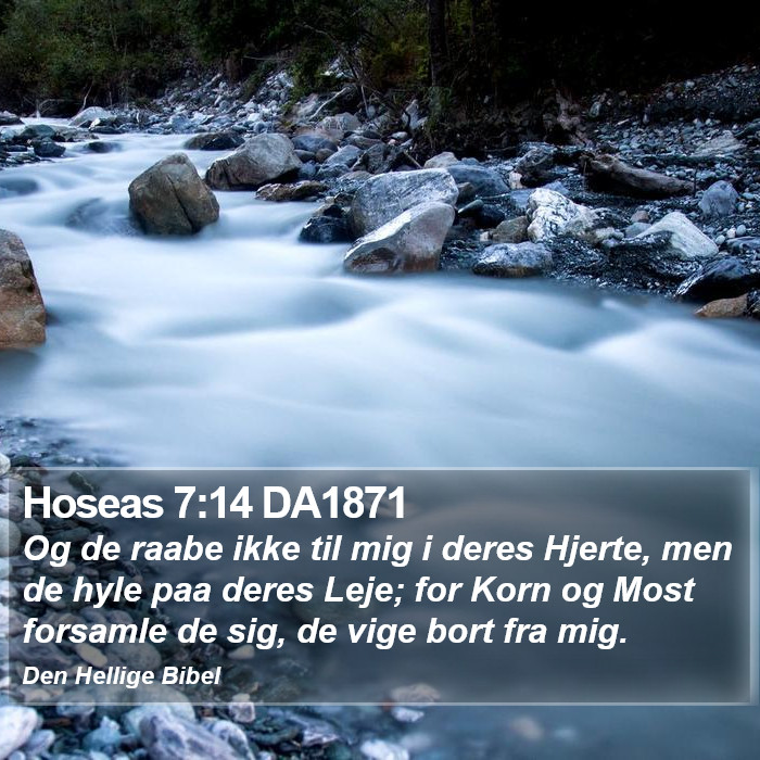 Hoseas 7:14 DA1871 Bible Study