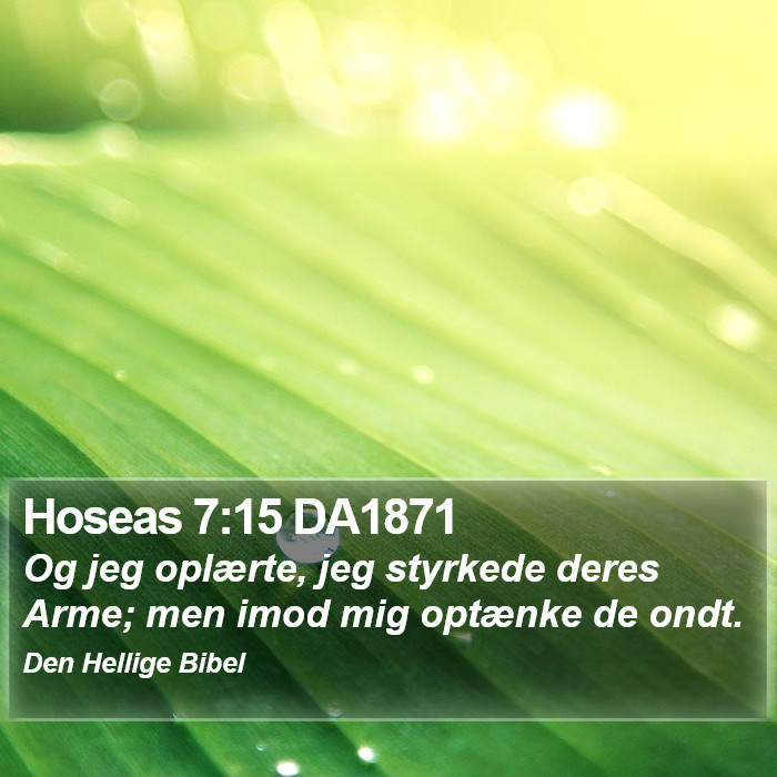 Hoseas 7:15 DA1871 Bible Study