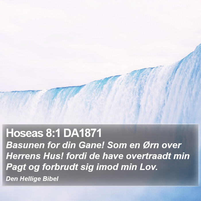 Hoseas 8:1 DA1871 Bible Study