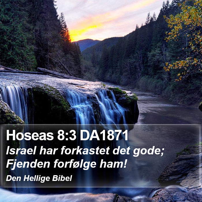 Hoseas 8:3 DA1871 Bible Study