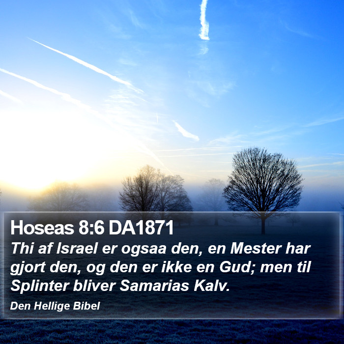 Hoseas 8:6 DA1871 Bible Study