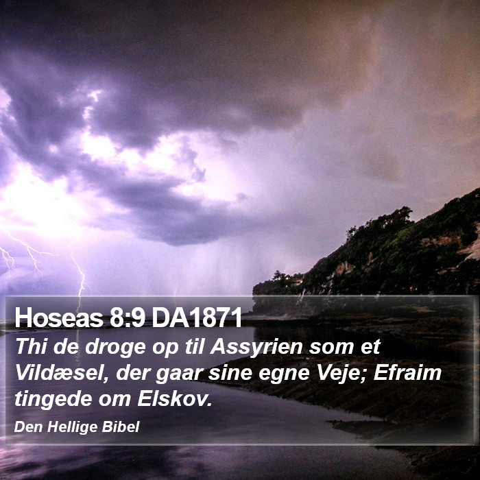 Hoseas 8:9 DA1871 Bible Study