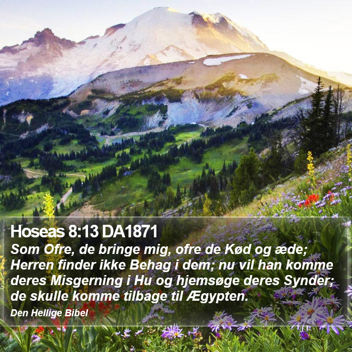 Hoseas 8:13 DA1871 Bible Study