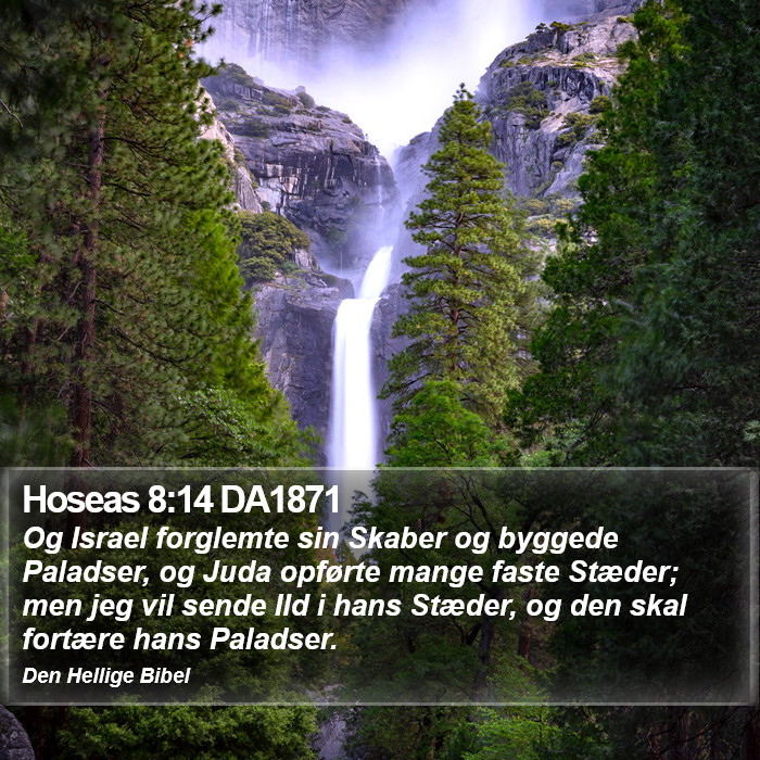 Hoseas 8:14 DA1871 Bible Study