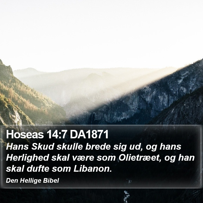 Hoseas 14:7 DA1871 Bible Study