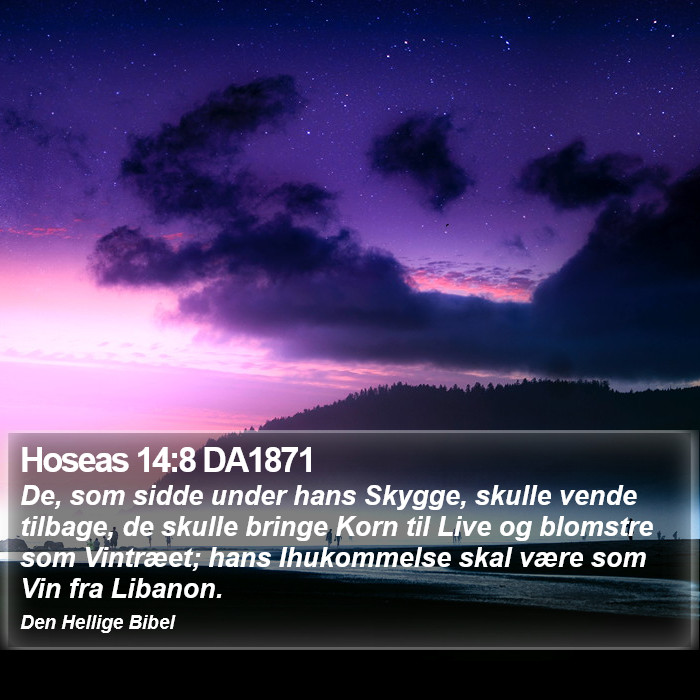 Hoseas 14:8 DA1871 Bible Study