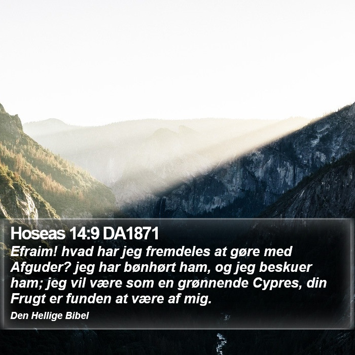 Hoseas 14:9 DA1871 Bible Study