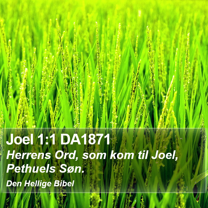 Joel 1:1 DA1871 Bible Study