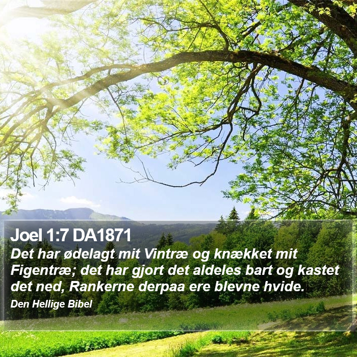 Joel 1:7 DA1871 Bible Study