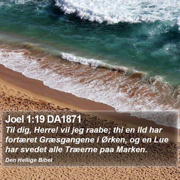 Joel 1:19 DA1871 Bible Study