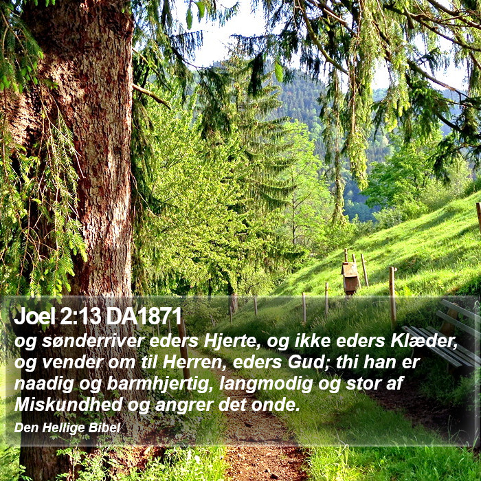 Joel 2:13 DA1871 Bible Study