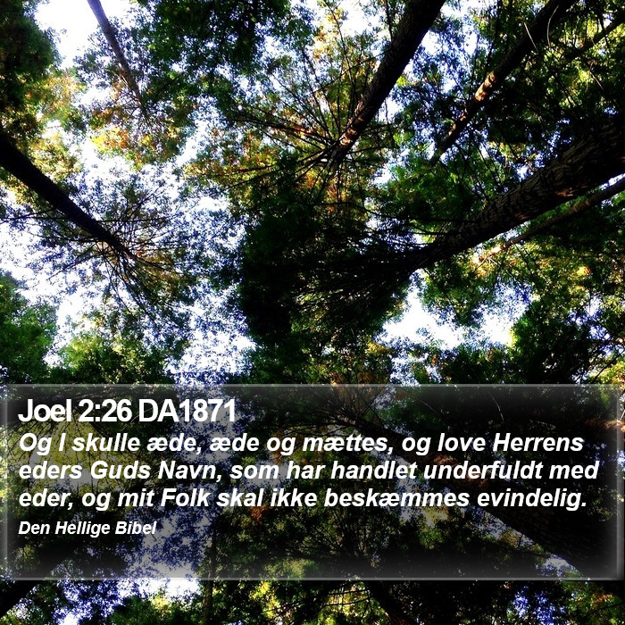 Joel 2:26 DA1871 Bible Study