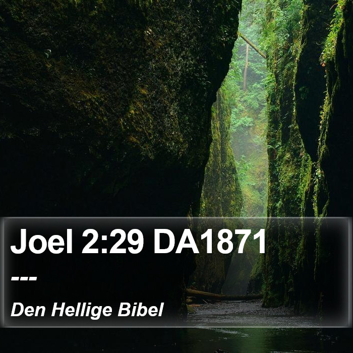 Joel 2:29 DA1871 Bible Study