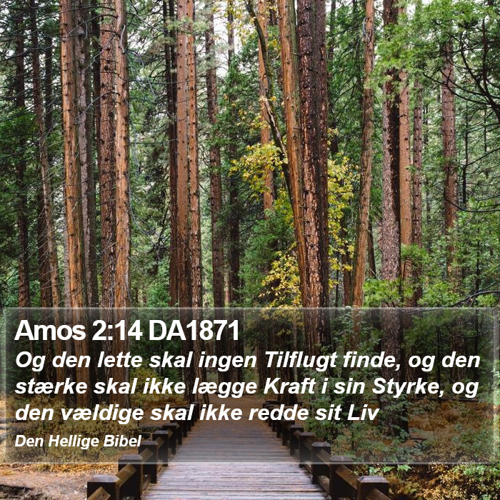 Amos 2:14 DA1871 Bible Study