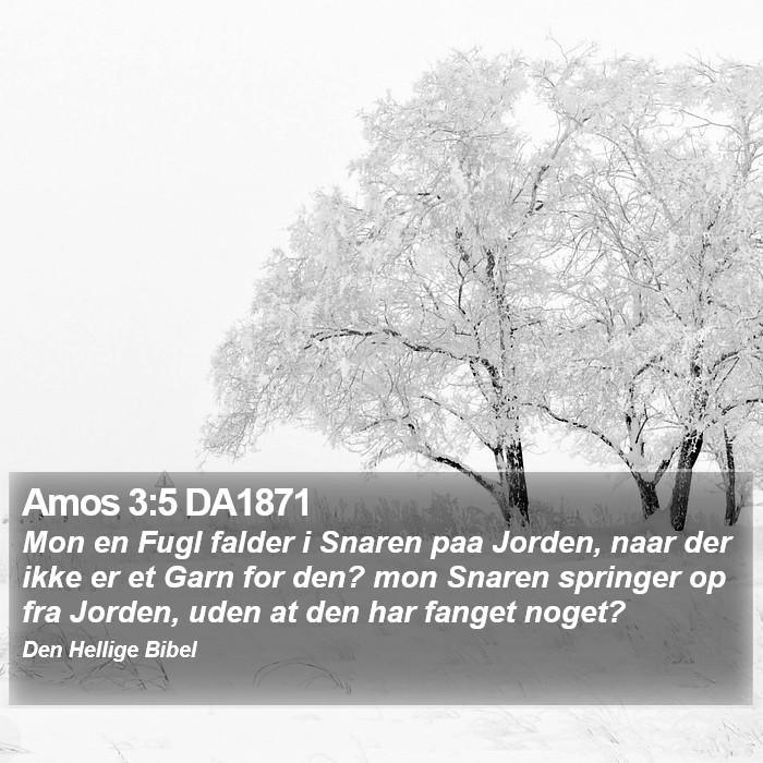 Amos 3:5 DA1871 Bible Study