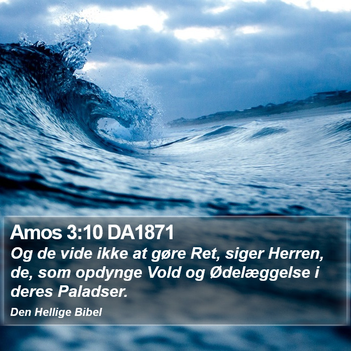 Amos 3:10 DA1871 Bible Study