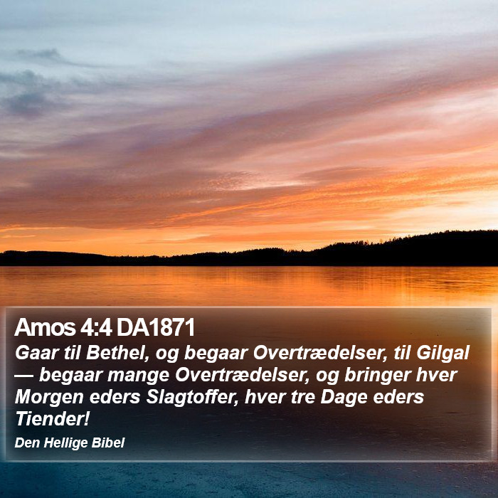 Amos 4:4 DA1871 Bible Study